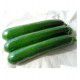 COURGETTE HYB F1 PIXAR