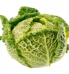 CHOU DE MILAN DE LA SAINT JEAN