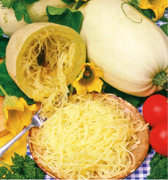 COURGE VEGETABLE SPAGHETTI