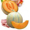 MELON CHARENTAIS (Cantaloup)