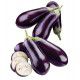 AUBERGINE HYB F1 BALUROI