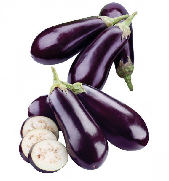 AUBERGINE HYB F1 BALUROI