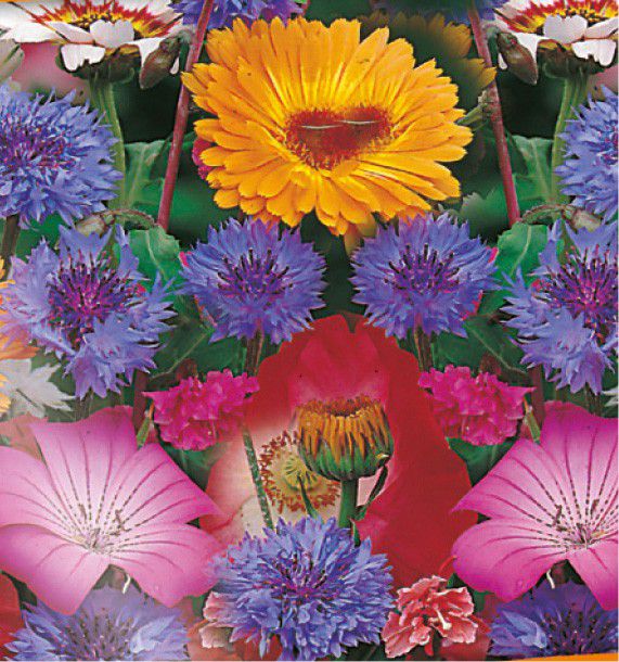 Tapis à Relief Fleurs Pour Pâte à Sucre Et Chocolat - 30.5 X 15 Cm - Plastique Alimentaire, Double Face