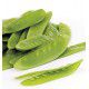 POIS MANGETOUT CAROUBY DE MAUSSANE