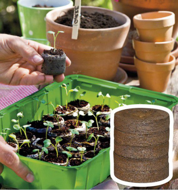 PASTILLES COCO COMPRESSEES