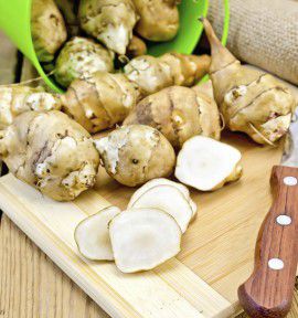 TOPINAMBOUR SAKHALINSKI BLANC