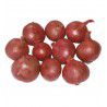 ECHALOTE RONDE RED SUN