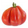 TOMATE LIGURIA