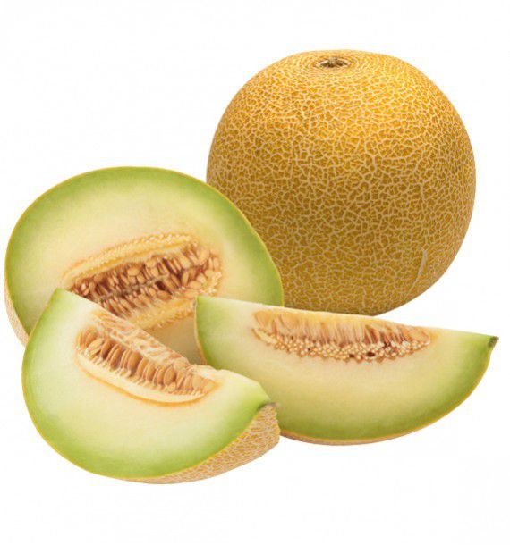 MELON GALIA