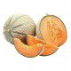 MELON HYB F1 STELLIO