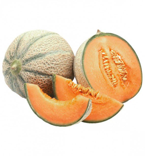 MELON HYB F1 STELLIO