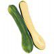 COURGE LONGUE DE NICE