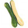 COURGE LONGUE DE NICE