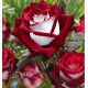 ROSIER TIGE OSIRIA