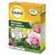 MALADIES DES ROSIERS