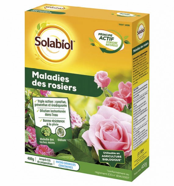 MALADIES DES ROSIERS