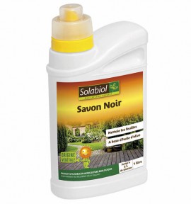 Pucerons savon noir