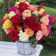8 ROSIERS BUISSONS A GROSSES FLEURS EN MELANGE