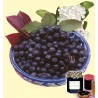 ARONIA VIKING