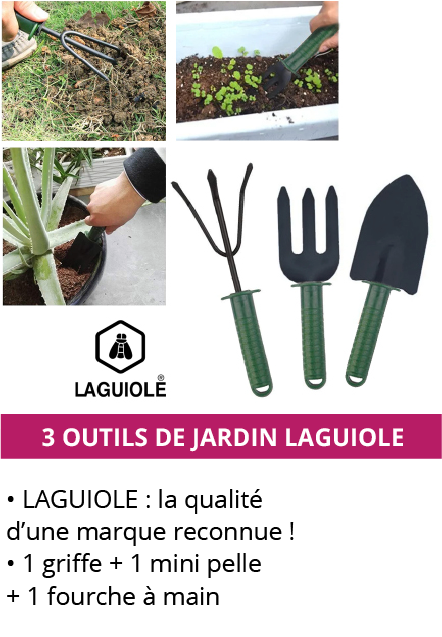 3-outils-laguiole.png