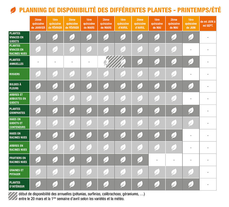 Planning de plantation Printemps/Eté