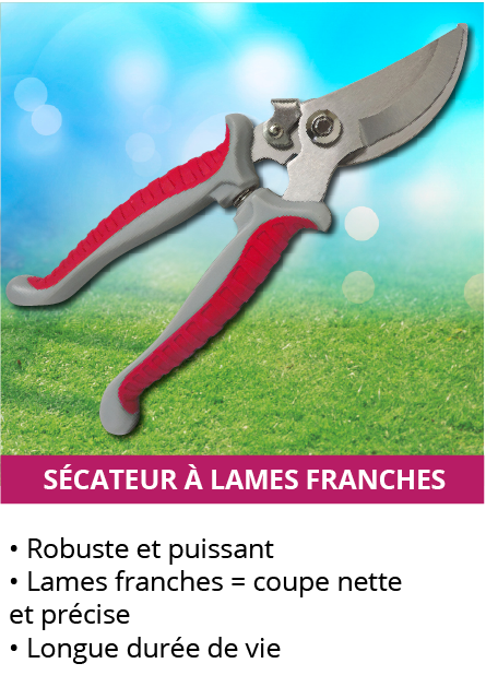 secateur-lames-franches.png