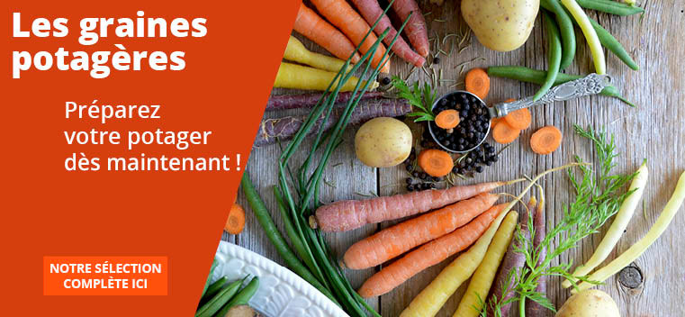 Pr&eacute;parez votre Potager d&egrave;s maintenant !